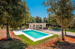 Villa David